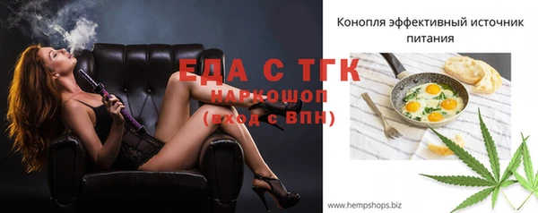 индика Нефтекумск