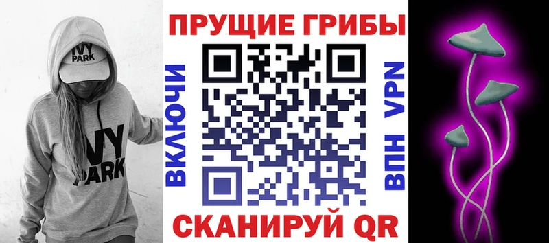Галлюциногенные грибы мухоморы  нарко площадка официальный сайт  Лесосибирск  купить закладку  кракен онион 